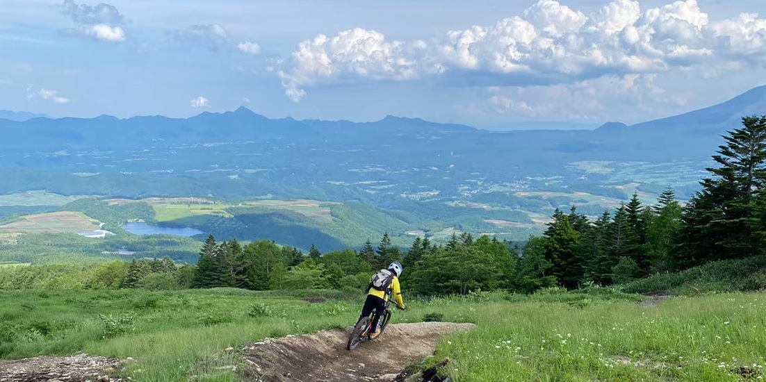 Mountain bike